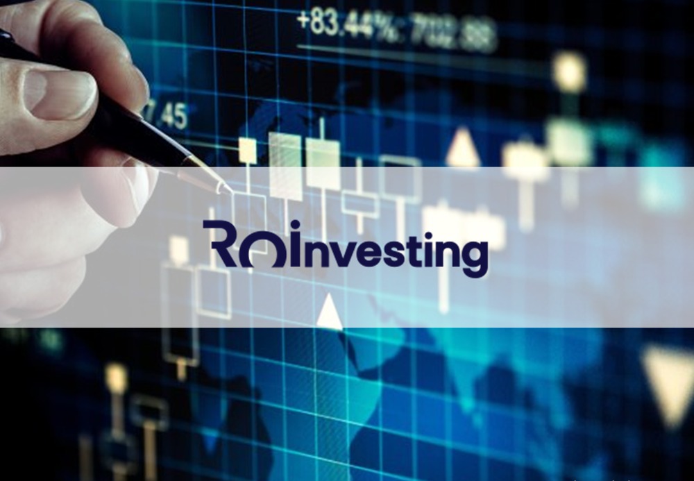 Roinvesting Reseña